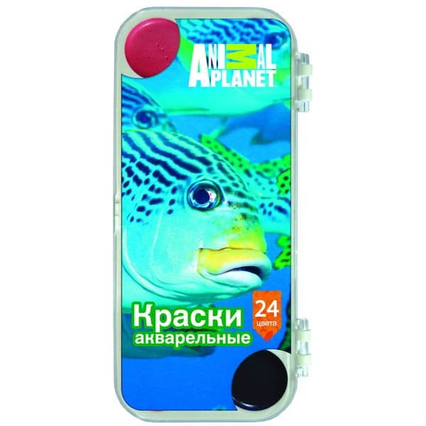 Краски акварельные, медовые, 24 цв., без кисти, европодвес ANIMAL, ACTION