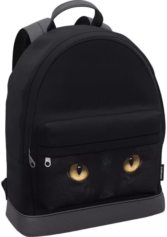 Рюкзак ErichKrause® StreetLine с отделением для ноутбука 17L Black Cat