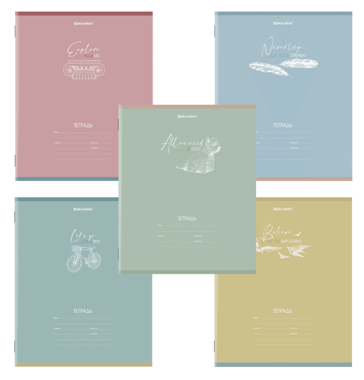 Тетрадь 24 л. BRAUBERG клетка, обложка картон, "PASTEL", 106486